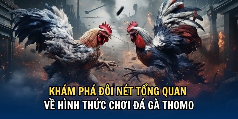 Đá Gà Thomo Hello88 - Chuyên Mục Giải trí Cực Hot 2025 3 Giới thiệu quy định mức cược trong đá gà Thomo