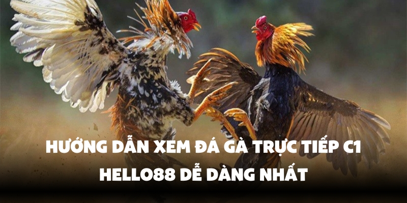 Đá Gà Trực Tiếp C1 - Xem Đá Gà Đỉnh Cao Tại Hello88 3 Nền tảng xem đá gà trực tiếp C1 chất lượng cao